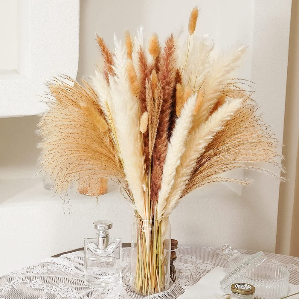 85Pieces Natural Dried Flower Bouquet, White Pampas Grass Dry